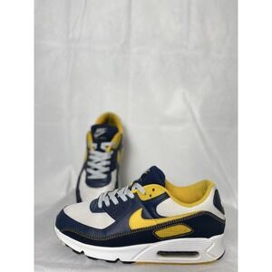 Size 11 - Nike Air Max 90 Dunk From Above Men’s sneakers